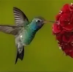 Развлекательные слоты - что означает RTP и волатильность слотов